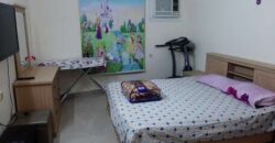 fully furnished 2BHK, Flat Electricity, water and gas included