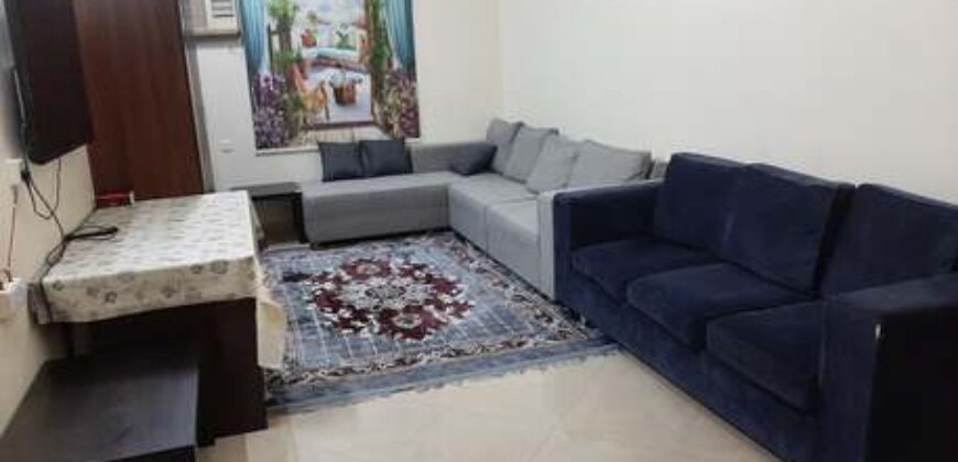 fully furnished 2BHK, Flat Electricity, water and gas included
