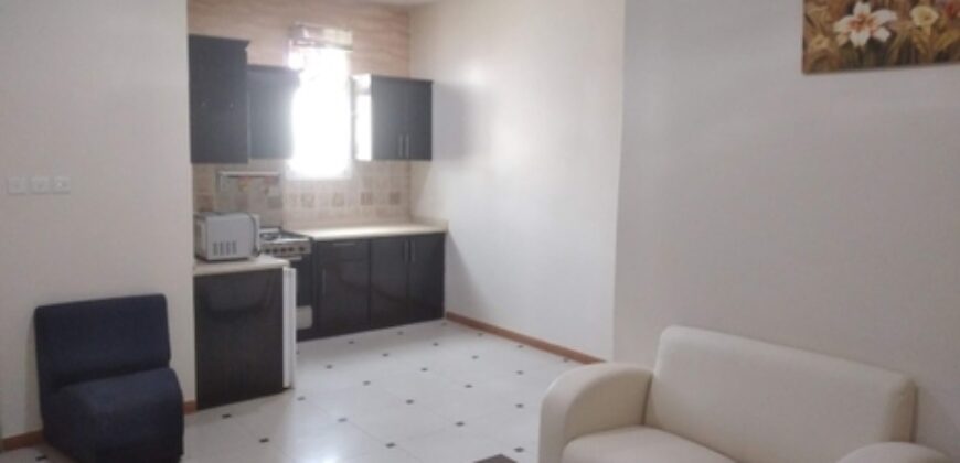 2BHK Studio for rent in hara