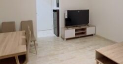Fully Furnished 1 Bedroom Apartment for Rent Near KAFD