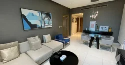 1BHK Luxury Furnished Apartment For Executive