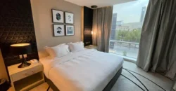 1BHK Luxury Furnished Apartment For Executive