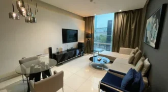 1BHK Luxury Furnished Apartment For Executive