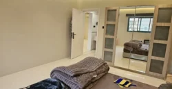 Big Family Apartment for rent