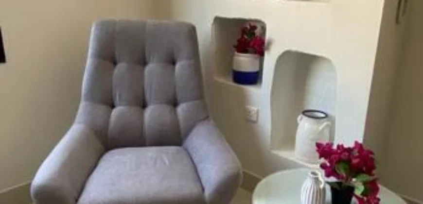 Luxury Furnished Apartment for Rent in Riyadh