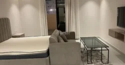 1bhk Flat for rent in malik fahad street