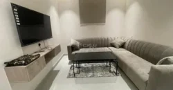1bhk Flat for rent in malik fahad street