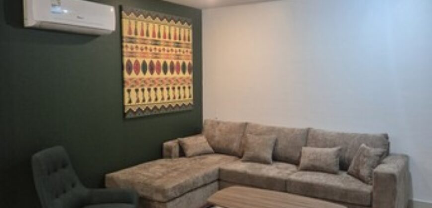 Classic 1BHK apartment for Rent inAl Sulaymaniyyah