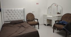 Furnished 2-Bedroom Apartment for Executive Bachelors in Riyadh