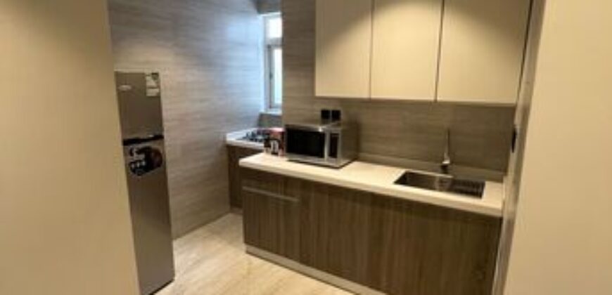 Furnished 1BR Apartment for Executive Bachelors Riyadh