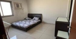 3 BHK Furnished Flat for Short-Term Rent in Riyadh