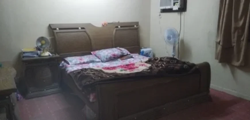 1bhk for rent in Jubail with Kitten