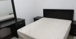Furnished 1BR En Suite Studio Flat for Rent in Riyadh