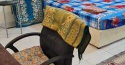 1BHK Furnished Room in Jeddah – Bachelor Rent SAR 1100