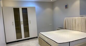 Furnished Room for Executive Bachelor in Olaya Riyadh