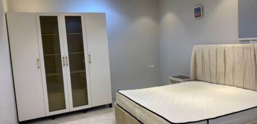 Furnished Room for Executive Bachelor in Olaya Riyadh