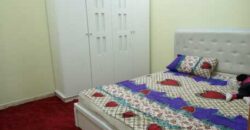 Furnished 2 BHK Flat in Manfouha Riyadh Available Now