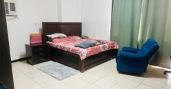 3BHK Furnished Flat Riyadh Near Qasr Al Hokum Metro