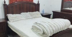 Furnished 3 BHK Family Flat for Rent in Riyadh – SAR 3500/Month