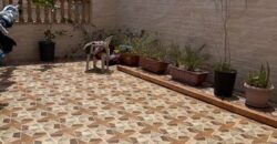Furnished 5 Bedroom Apartment in Al Marwah Jeddah – SAR 38K