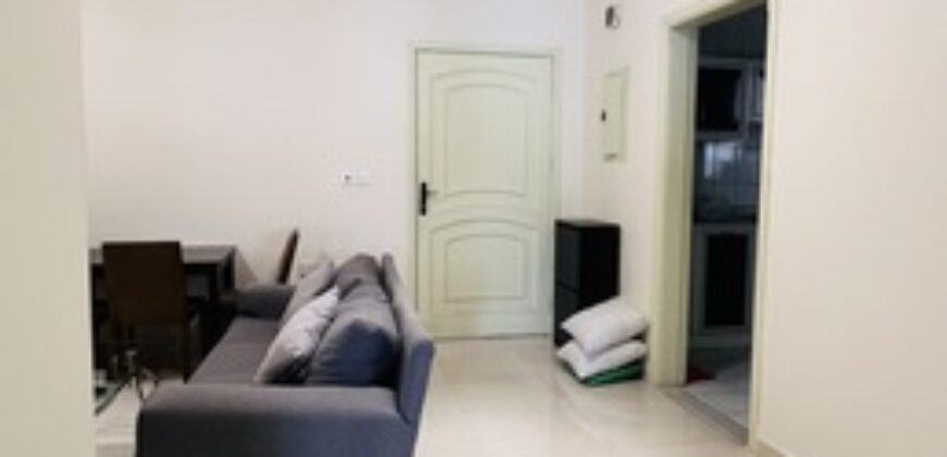 Furnished 2 BHK Near KAFD Riyadh SAR 60000 Yearly