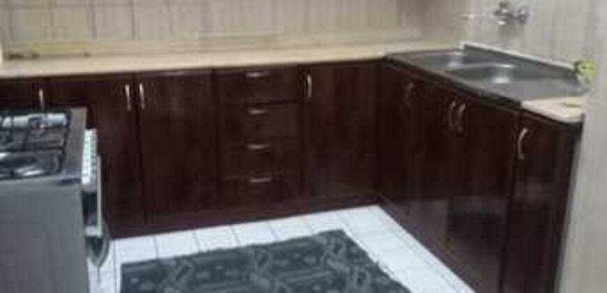 fully furnished VIP single executive bachelor room