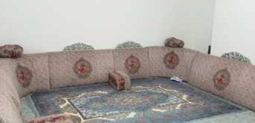 fully furnished VIP single executive bachelor room