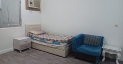 Room available for executive bachelor immediately in Al Iskan