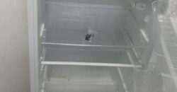 Furnished Studio Flat for Rent in Ghirnatah Near Exit 8 Riyadh