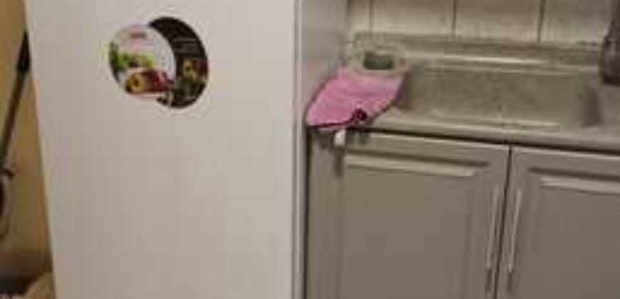 Fully Furnished Room for Rent for Executive Indian Bachelor