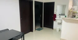 2BHK Furnished Family Flat Rent Available in Malaz Jarir Street 