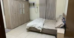 2BHK FULLY FURNISHED Neat and Clean FAMILY APARTMENT FOR RENT