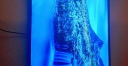 furnished room for rent in Hara furnished room for rent in Hara