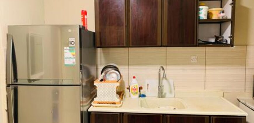 Fully Furnished Luxury Flat Available for Executive Bachelor Only