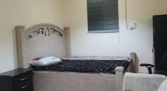 single room for single executive bachelor Olaya-SAR 2000/month