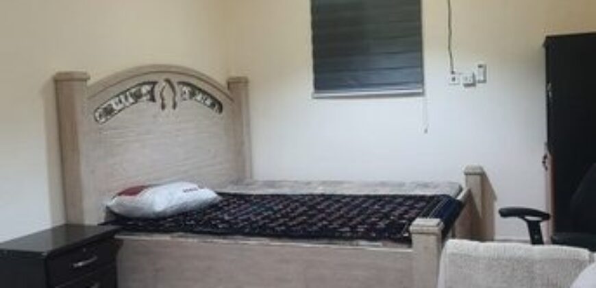 single room for single executive bachelor Olaya-SAR 2000/month