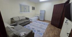 1 BR Furnished Apartment With 1 Room 1 Hall Kitchen Washroom