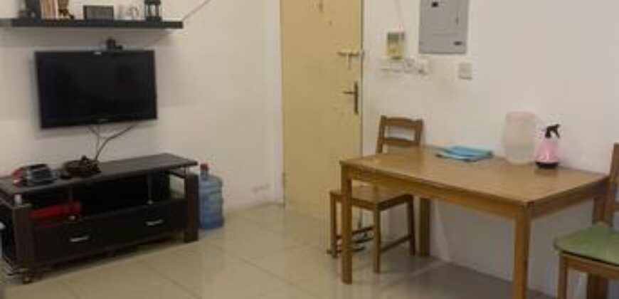 Fully Furnished 2 Bedroom Neat and Clean Flat for rent (Gurabi)