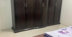 Fully Furnished 2 Bedroom Neat and Clean Flat for rent (Gurabi)