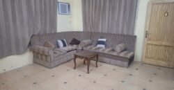 Fully Furnished Family Apartment for Rent in Alisha-SAR 27,000/year