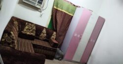 1 BHK Furnished Room for Rent in Jubail – SAR 1500/Month (Bachelor)