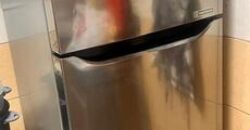 3BHK Family Flat for Rent in Al Waha Jubail – SAR 25,000/Year