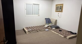 Studio Room for Rent in Jubail for Executive Bachelor – SAR 1,200/Month