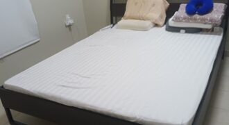 Furnished 2BHK Family Flat for Rent in Jubail – SAR 26,000/Year