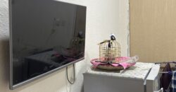 Furnished Single Room for Bachelor in 2BHK Flat Jubail – SAR 1,200/Month Furnished Single Room for Bachelor in 2BHK Flat Jubail – SAR 1,200/Month