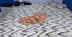 Semi-Furnished 2BHK House for Rent in Malaz Riyadh – SAR 36,000/Year