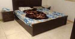 Furnished 2BHK Family Flat for Rent in Al Rayyan Jeddah – SAR 1,800/Month