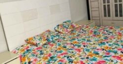 2BHK Apartment for Executive Bachelors in Hara – SAR 25000 Yearly